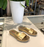 Gold Slides